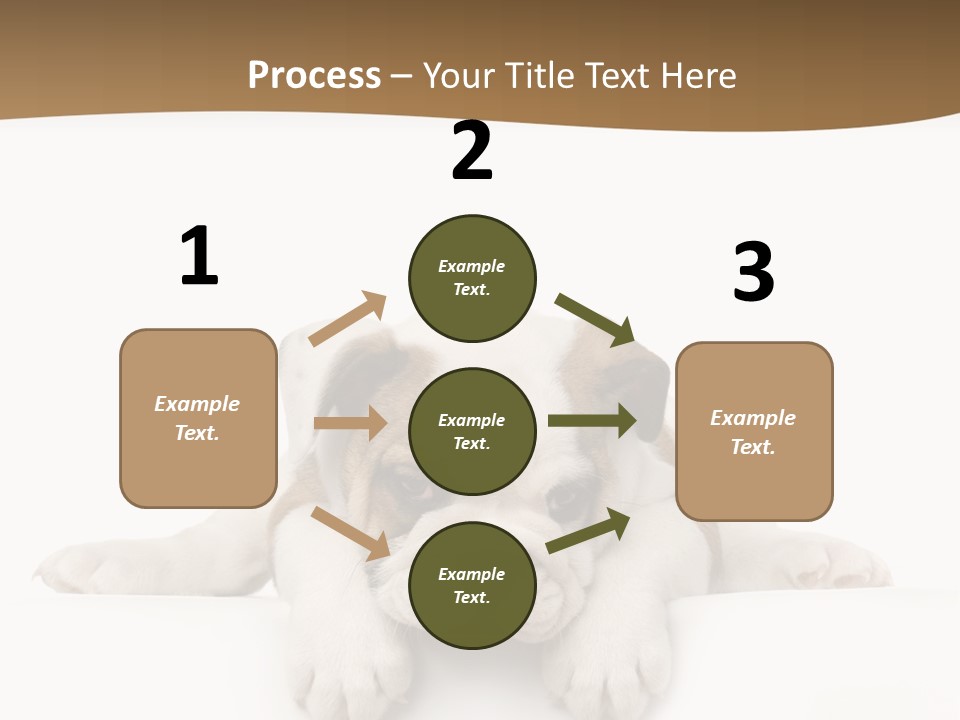 Smart Watching English Bulldog Puppy PowerPoint Template