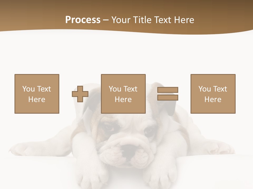 Smart Watching English Bulldog Puppy PowerPoint Template