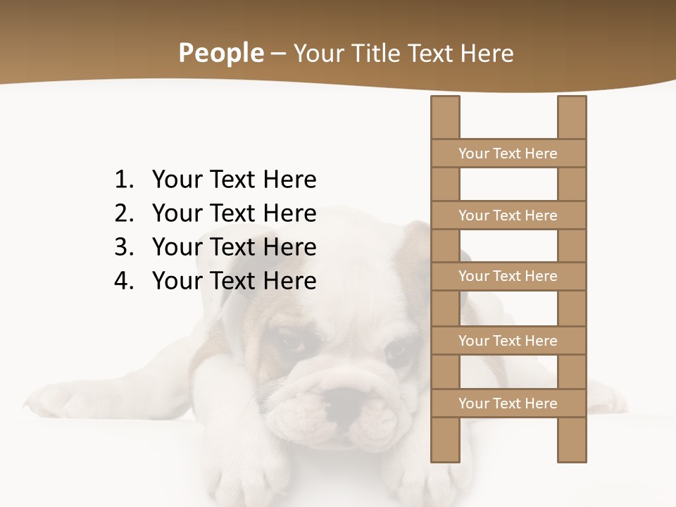 Smart Watching English Bulldog Puppy PowerPoint Template