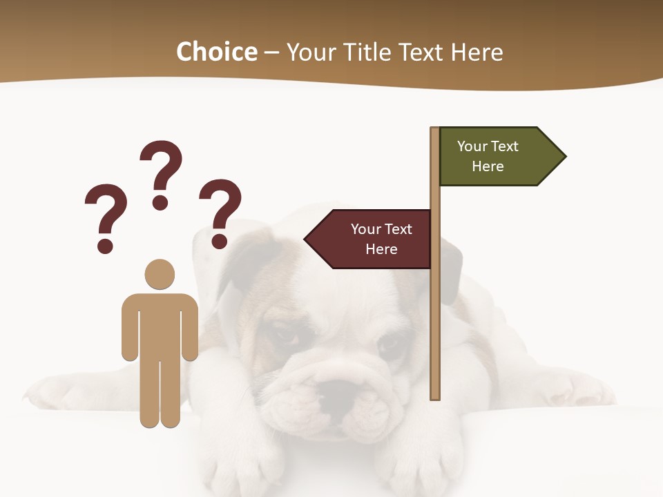 Smart Watching English Bulldog Puppy PowerPoint Template