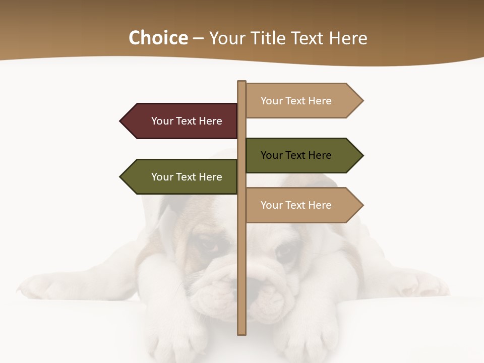 Smart Watching English Bulldog Puppy PowerPoint Template