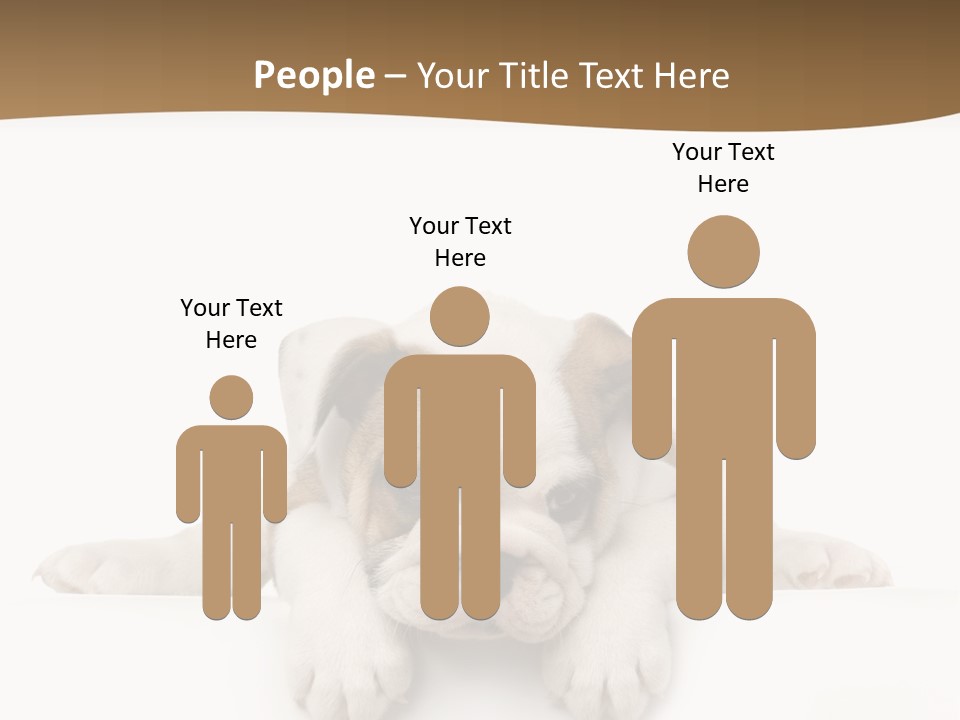 Smart Watching English Bulldog Puppy PowerPoint Template