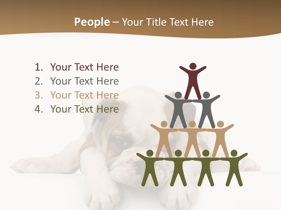 Smart Watching English Bulldog Puppy PowerPoint Template