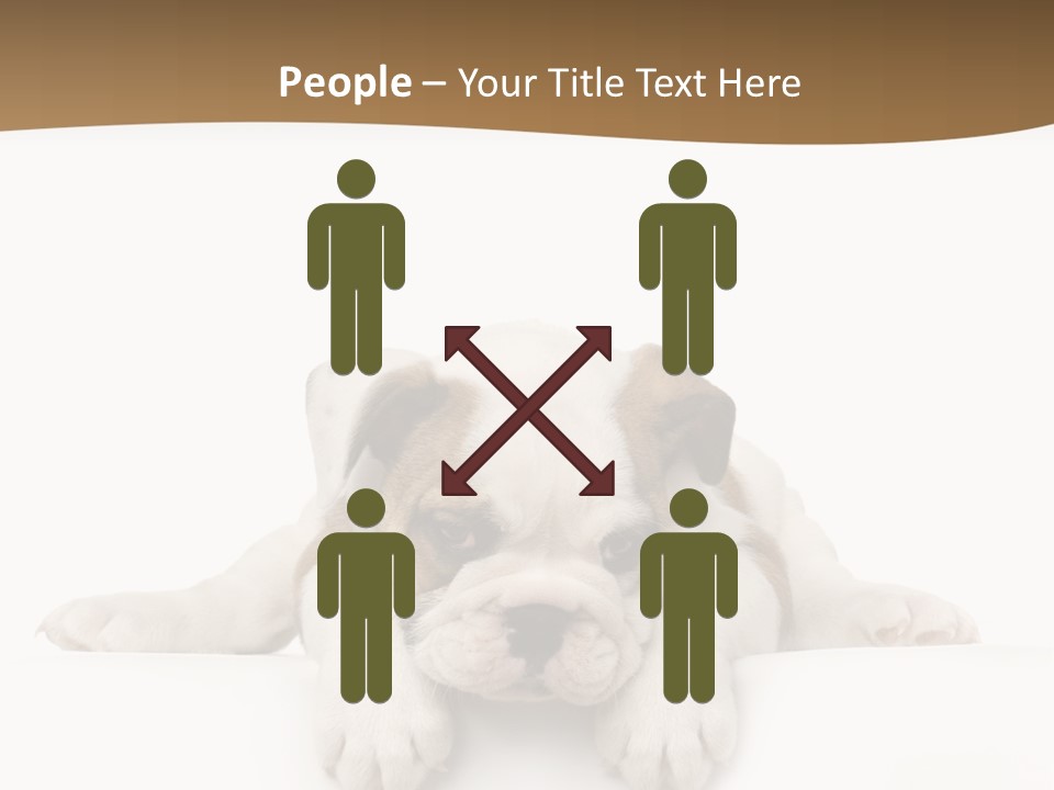Smart Watching English Bulldog Puppy PowerPoint Template