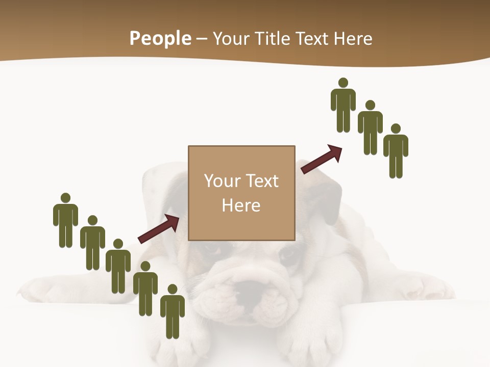 Smart Watching English Bulldog Puppy PowerPoint Template