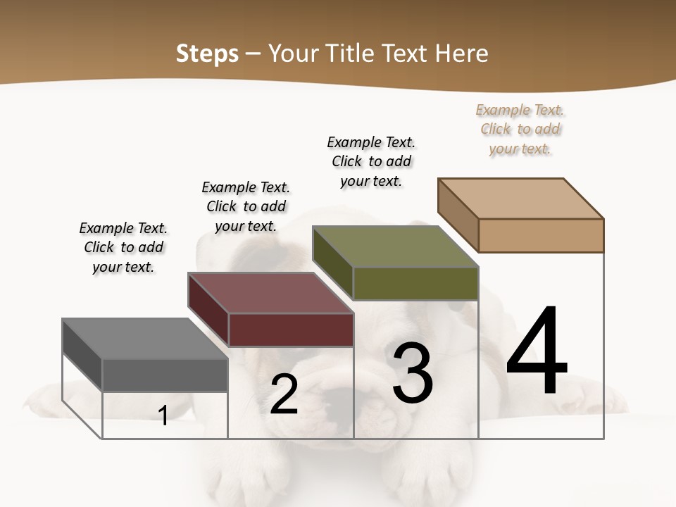 Smart Watching English Bulldog Puppy PowerPoint Template