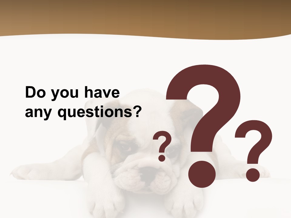 Smart Watching English Bulldog Puppy PowerPoint Template