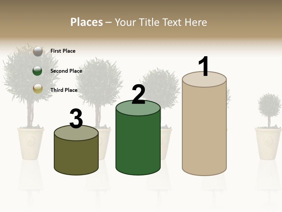 Maturation Success Advance PowerPoint Template