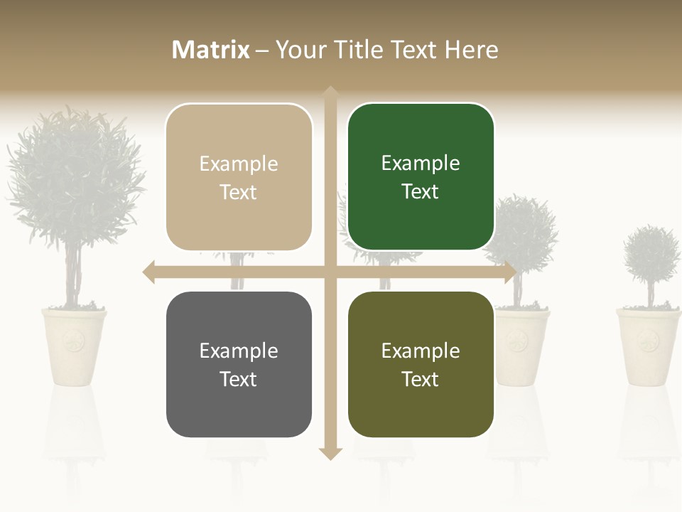 Maturation Success Advance PowerPoint Template