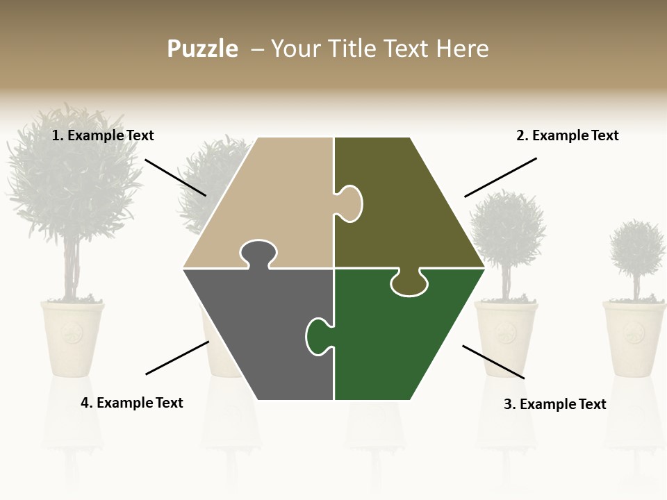 Maturation Success Advance PowerPoint Template