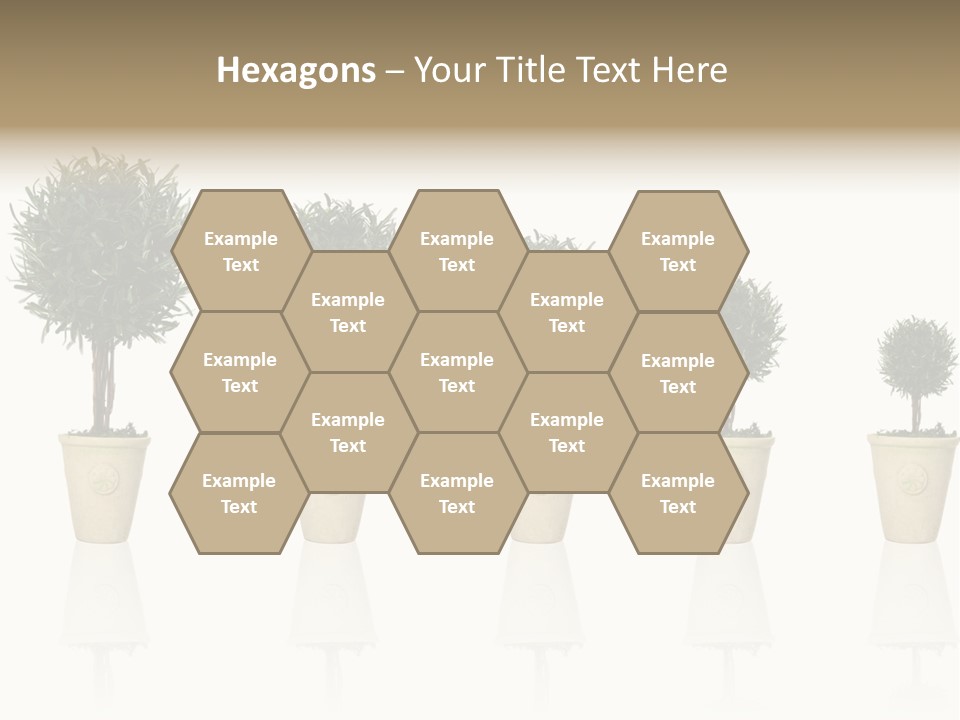Maturation Success Advance PowerPoint Template