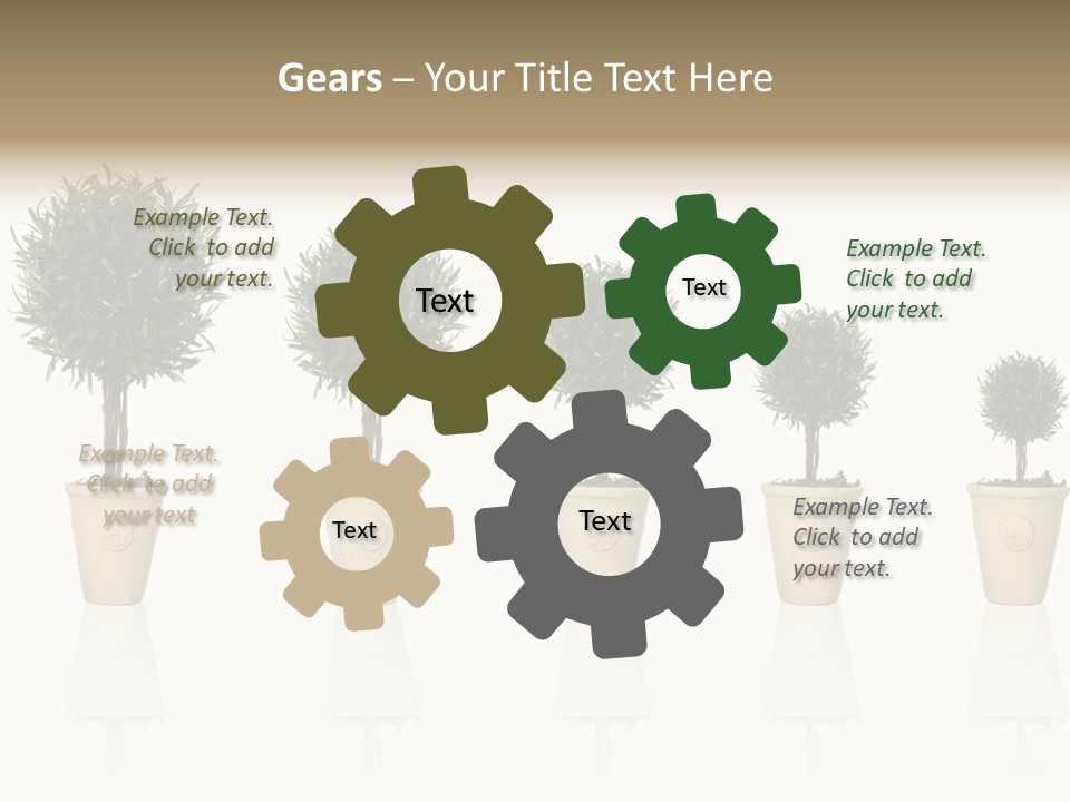 Maturation Success Advance PowerPoint Template