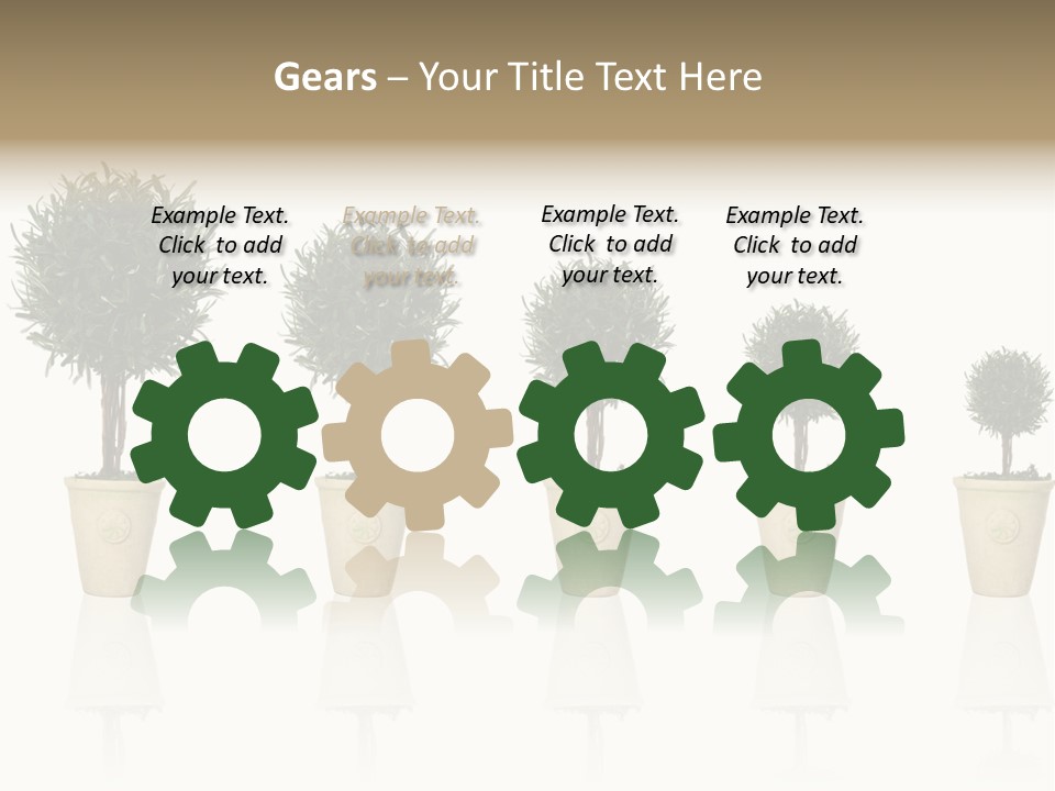 Maturation Success Advance PowerPoint Template