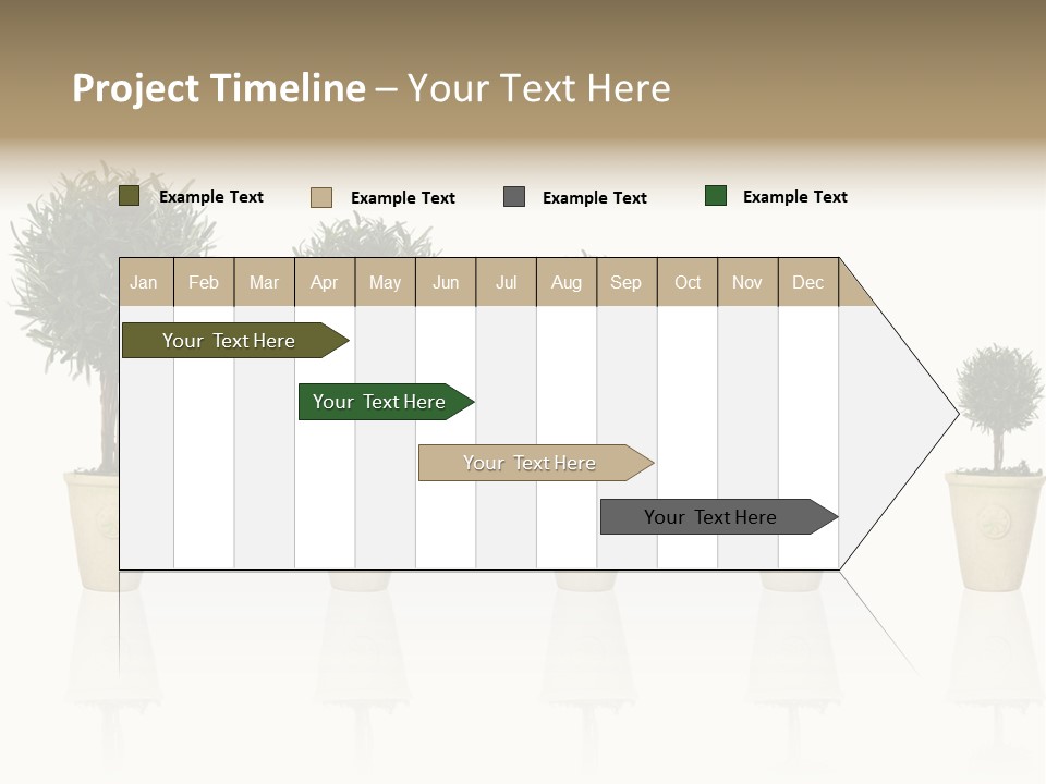 Maturation Success Advance PowerPoint Template