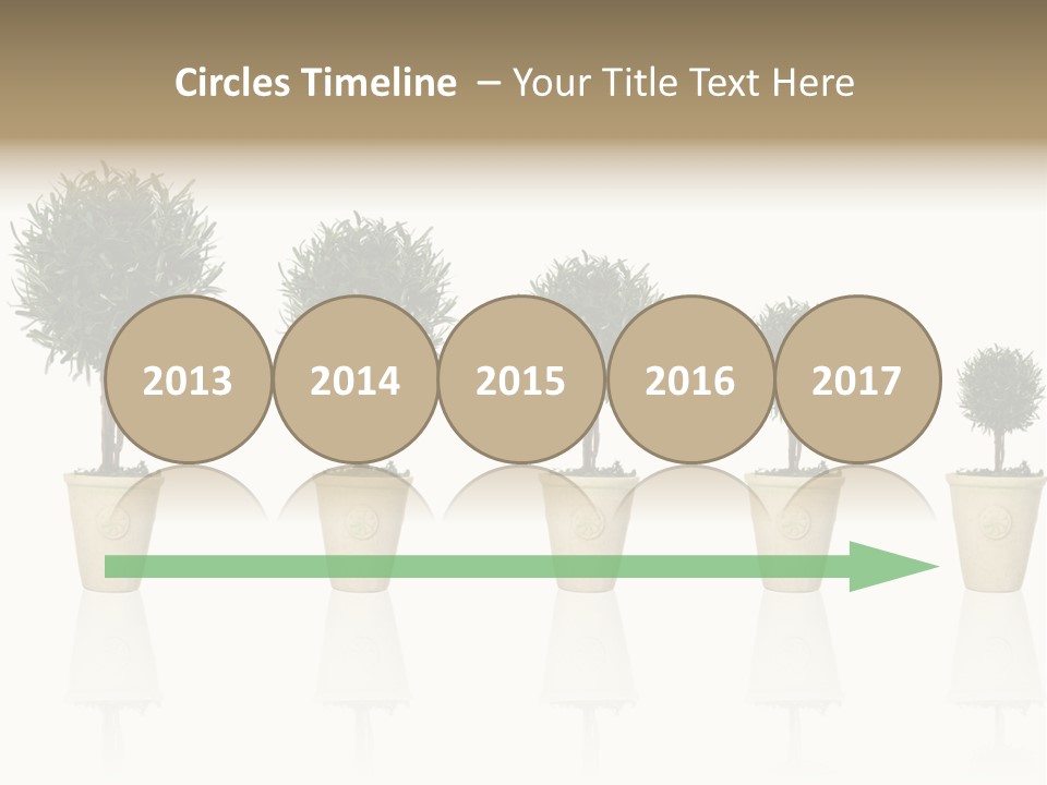 Maturation Success Advance PowerPoint Template