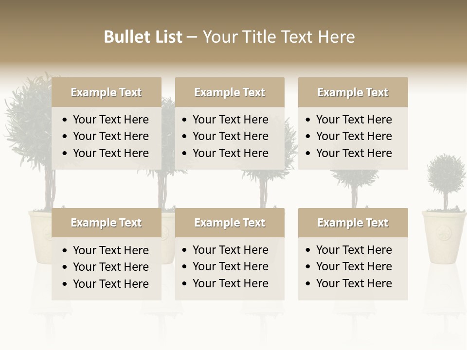 Maturation Success Advance PowerPoint Template