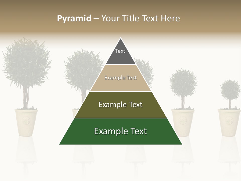 Maturation Success Advance PowerPoint Template