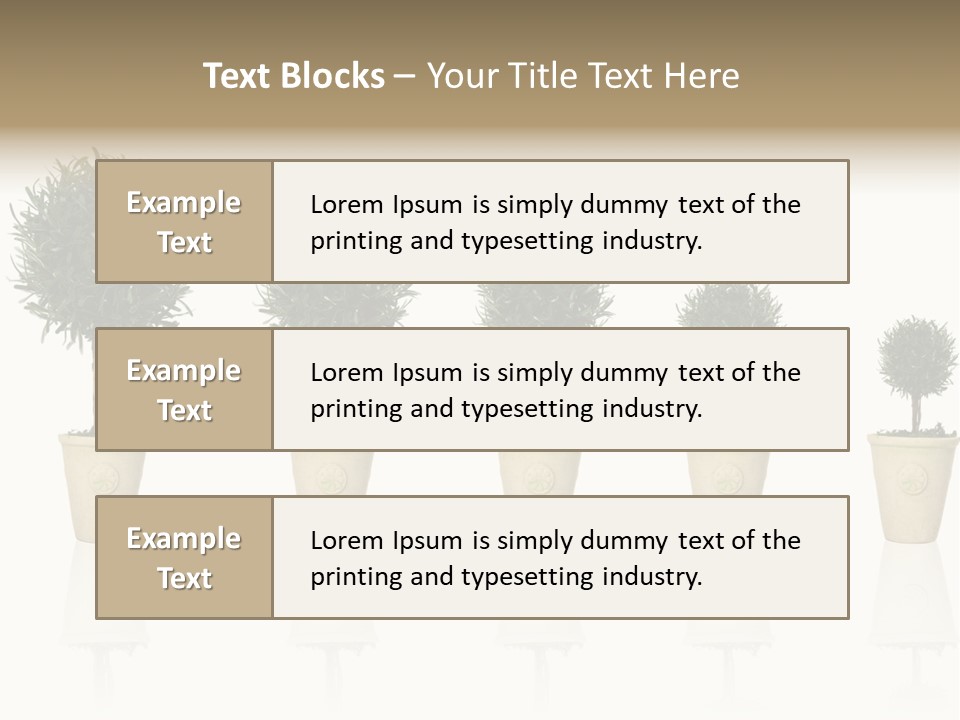 Maturation Success Advance PowerPoint Template