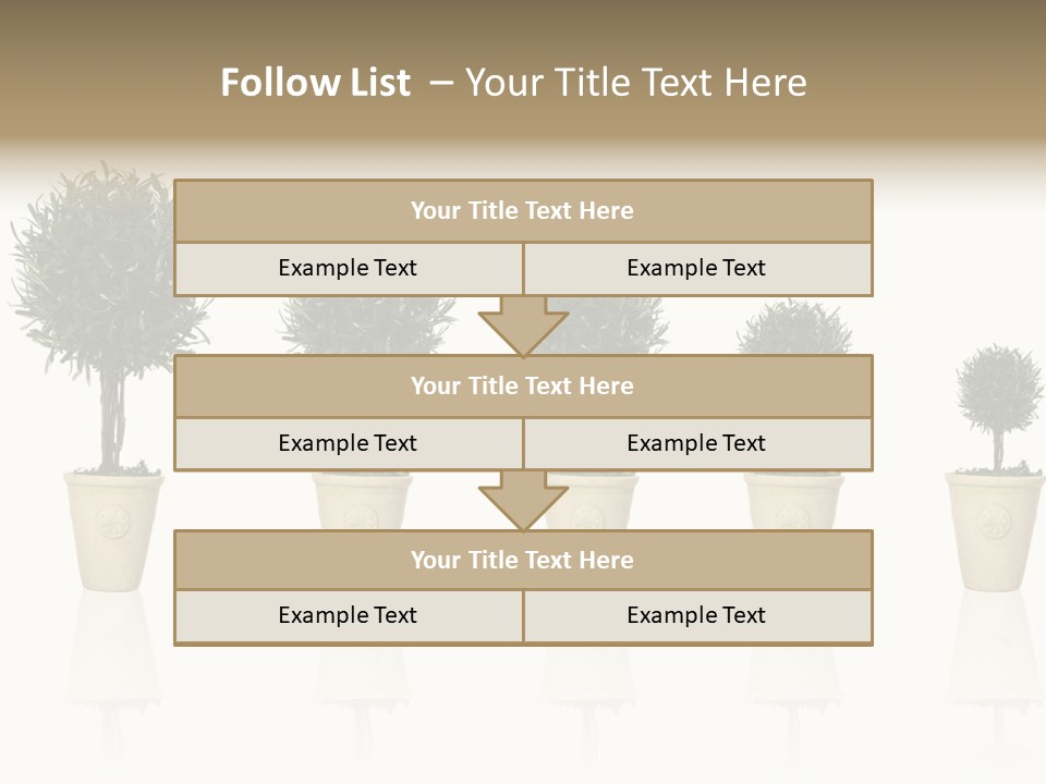 Maturation Success Advance PowerPoint Template
