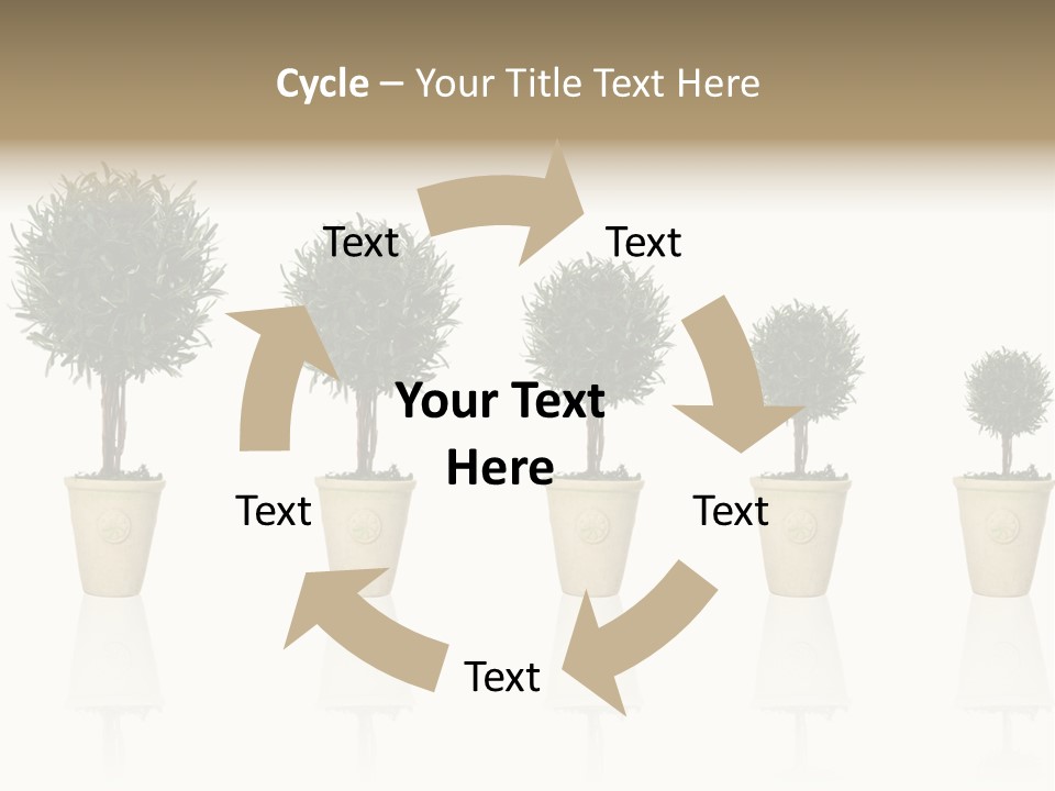 Maturation Success Advance PowerPoint Template