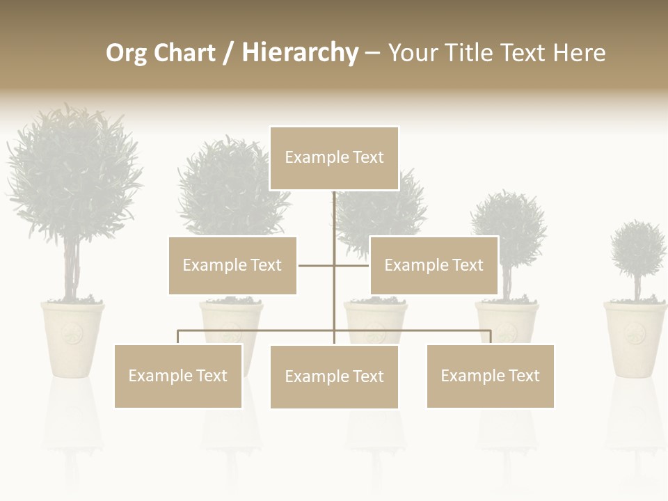 Maturation Success Advance PowerPoint Template