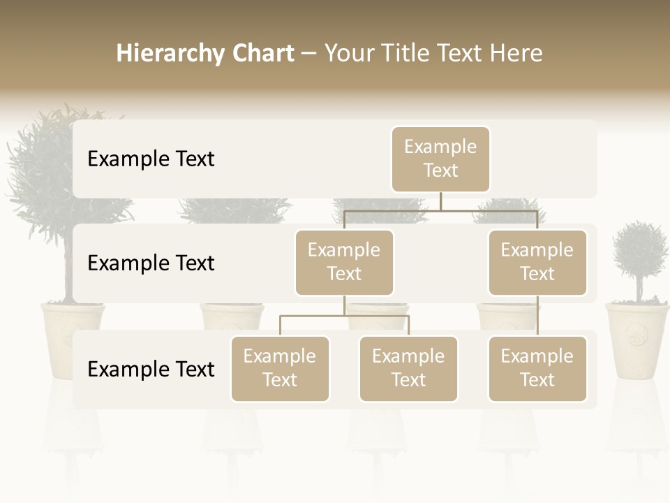 Maturation Success Advance PowerPoint Template