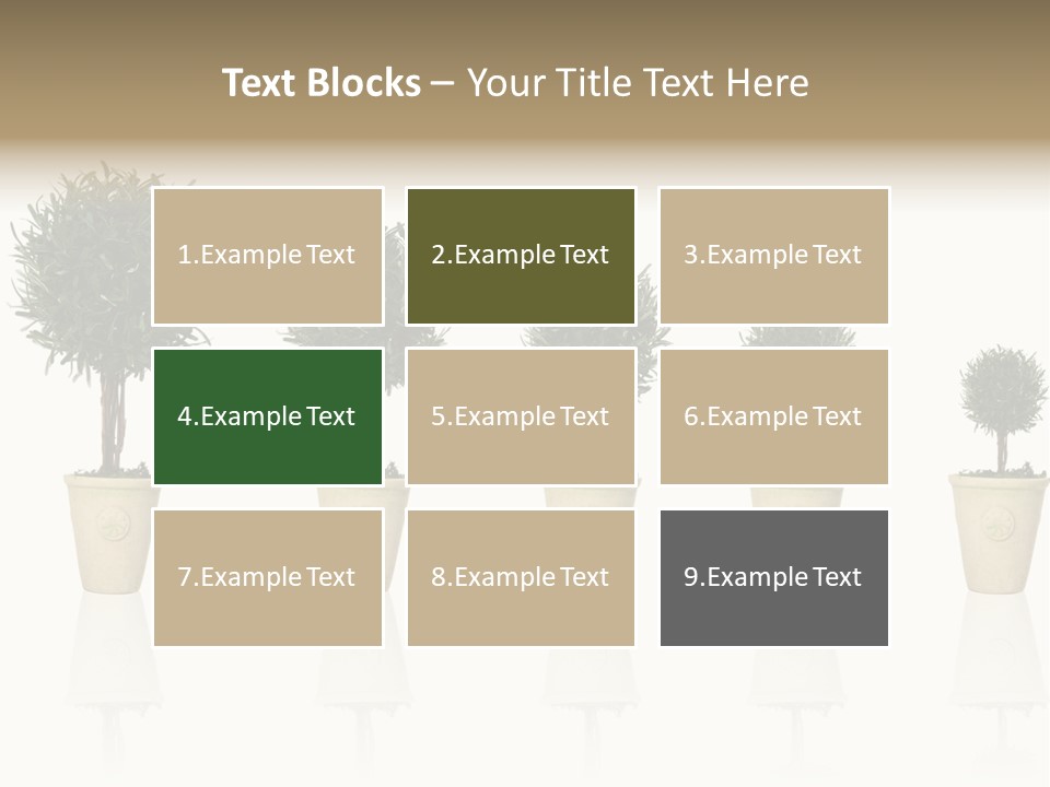 Maturation Success Advance PowerPoint Template