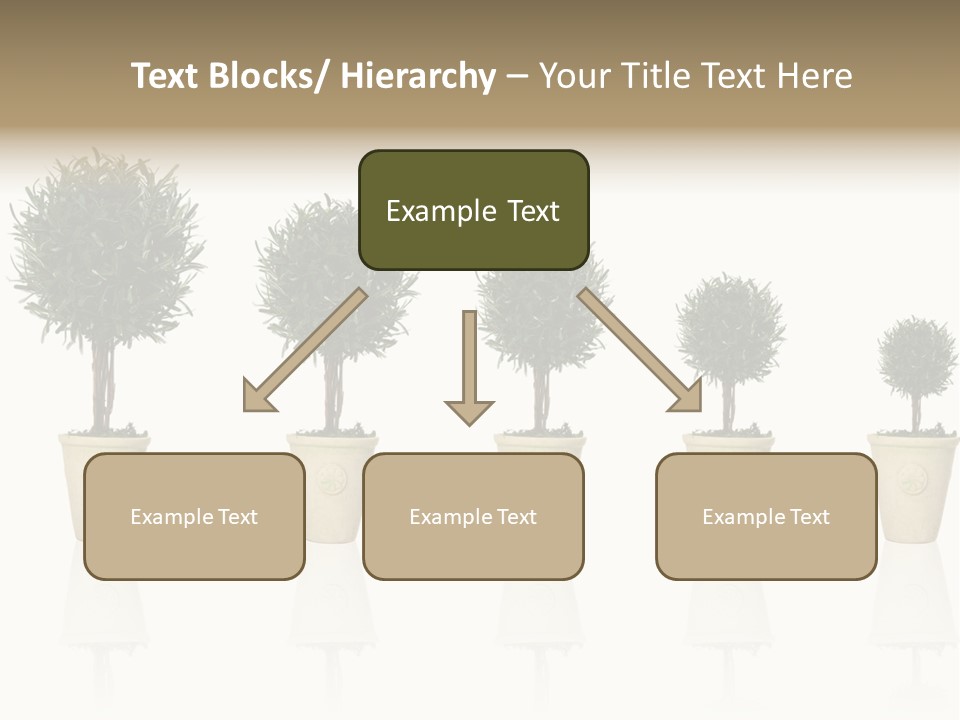 Maturation Success Advance PowerPoint Template