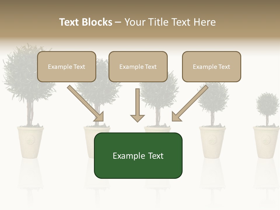 Maturation Success Advance PowerPoint Template