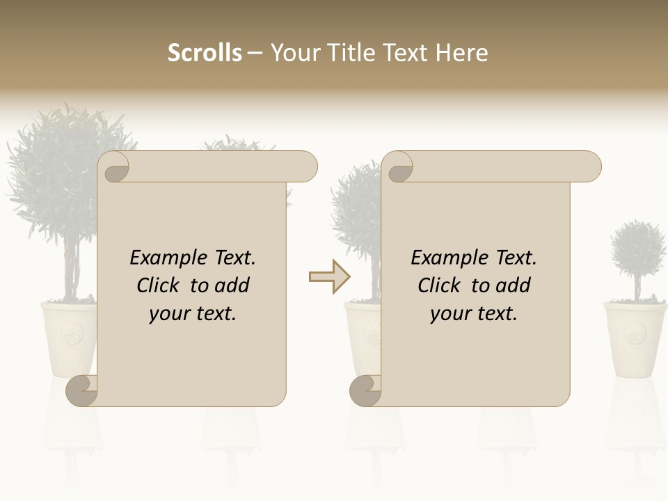 Maturation Success Advance PowerPoint Template