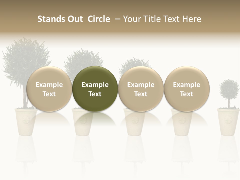 Maturation Success Advance PowerPoint Template