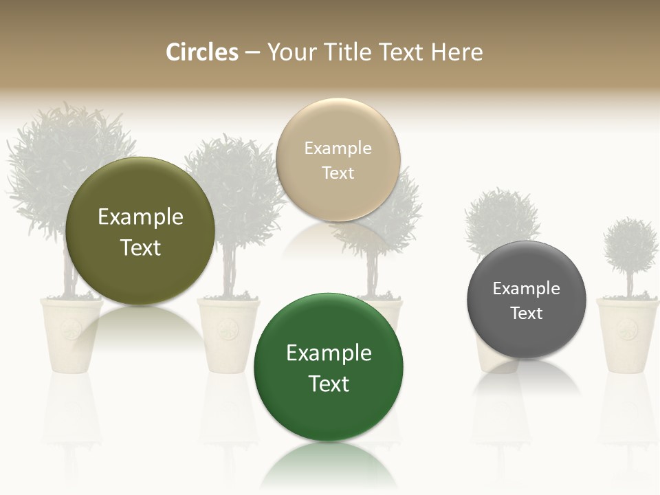 Maturation Success Advance PowerPoint Template