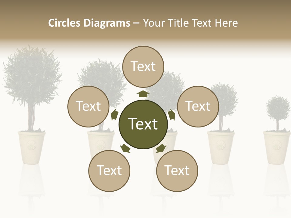 Maturation Success Advance PowerPoint Template