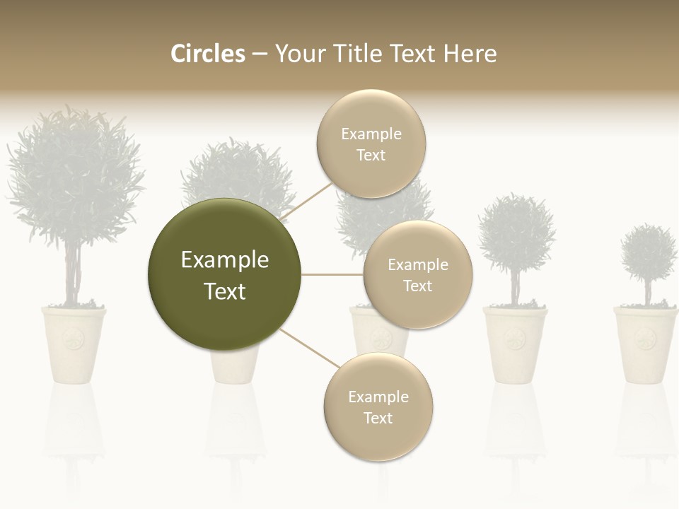 Maturation Success Advance PowerPoint Template