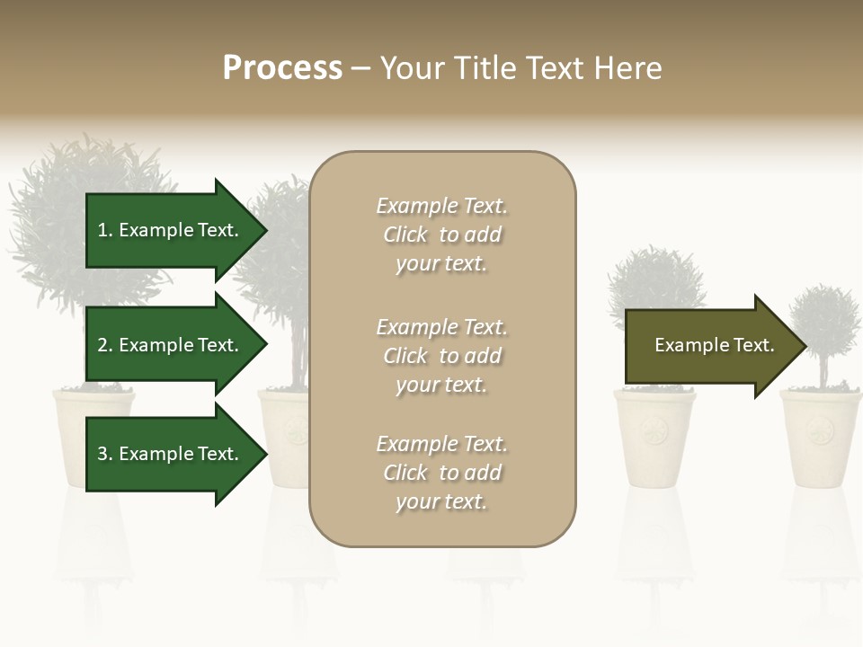 Maturation Success Advance PowerPoint Template