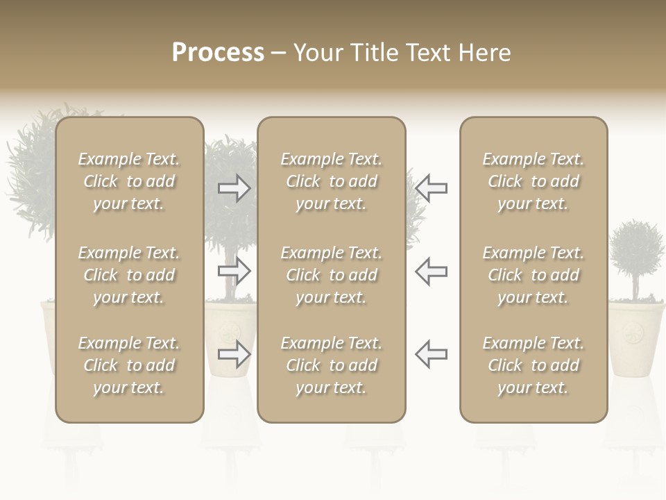 Maturation Success Advance PowerPoint Template