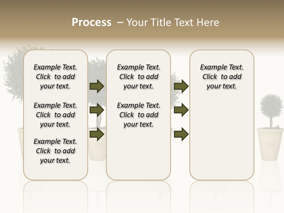 Maturation Success Advance PowerPoint Template