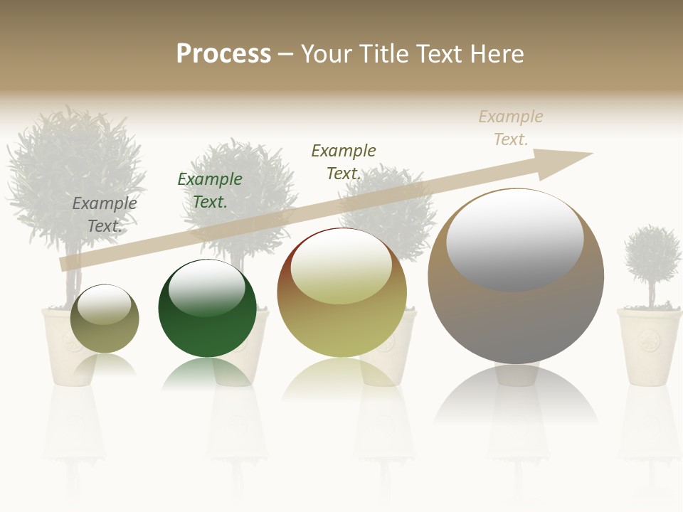 Maturation Success Advance PowerPoint Template