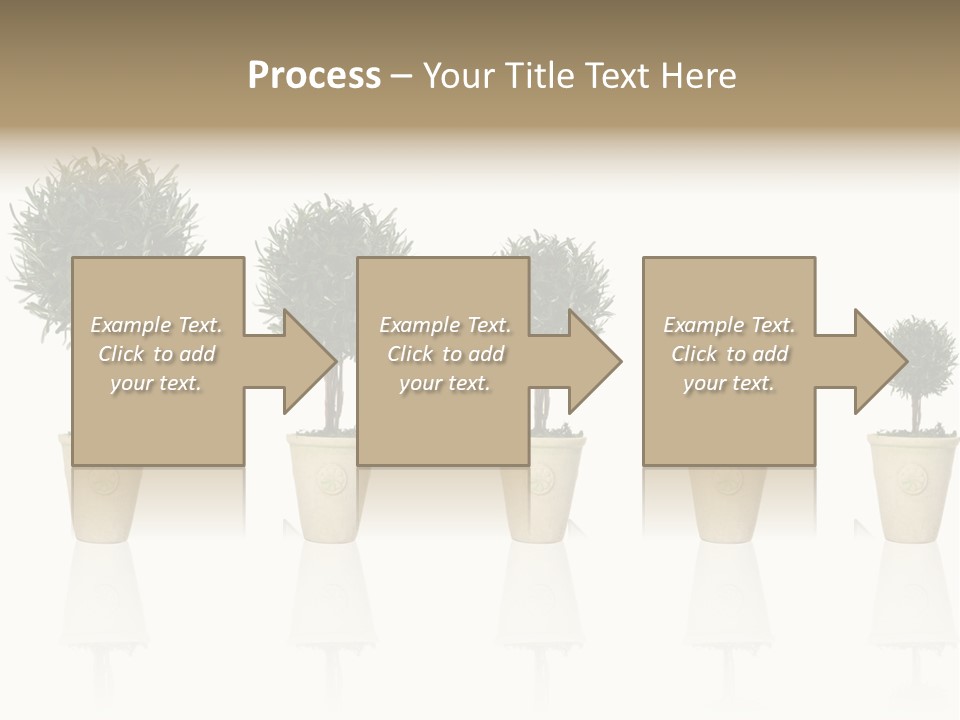 Maturation Success Advance PowerPoint Template