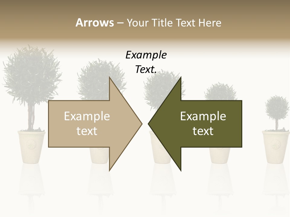 Maturation Success Advance PowerPoint Template