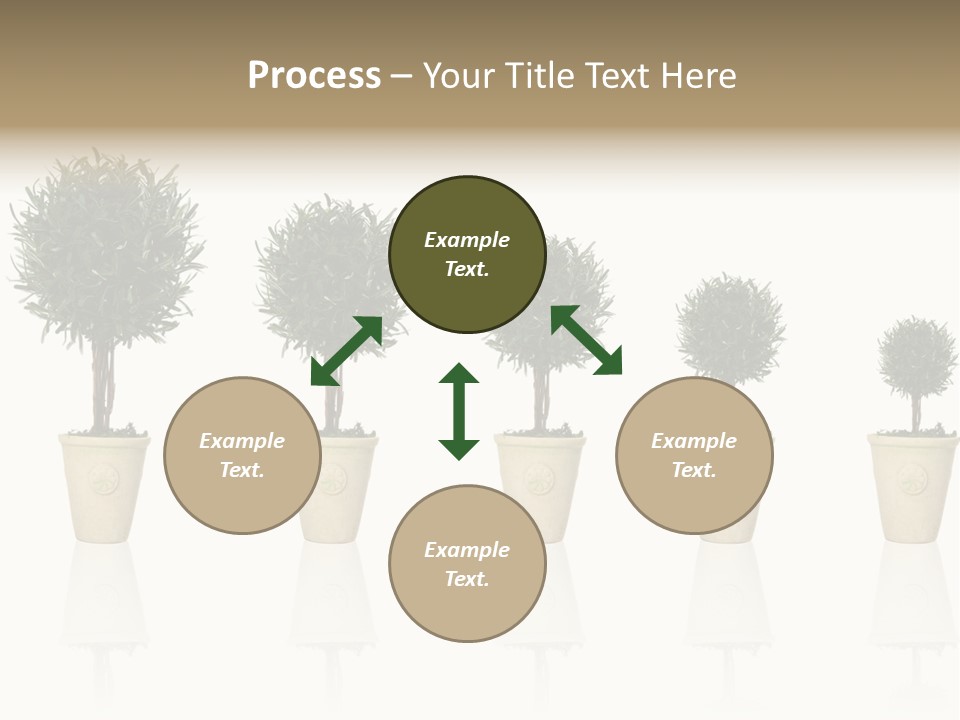 Maturation Success Advance PowerPoint Template