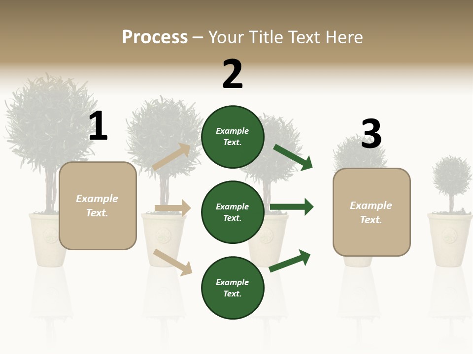 Maturation Success Advance PowerPoint Template