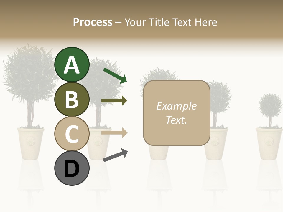 Maturation Success Advance PowerPoint Template