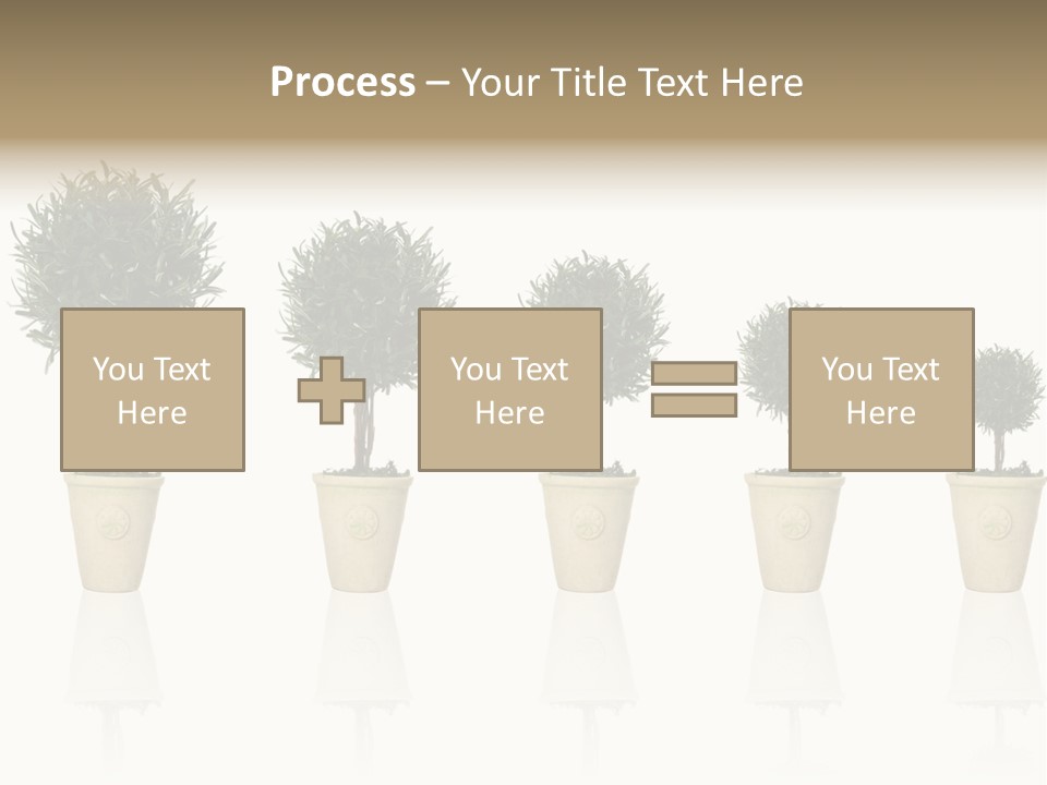 Maturation Success Advance PowerPoint Template
