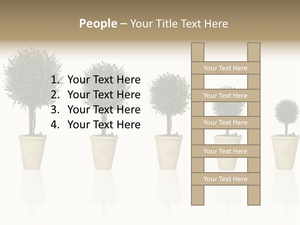 Maturation Success Advance PowerPoint Template