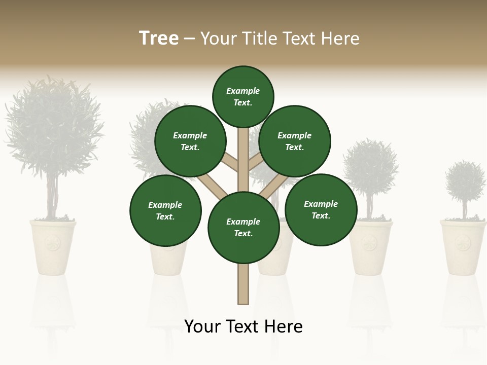 Maturation Success Advance PowerPoint Template