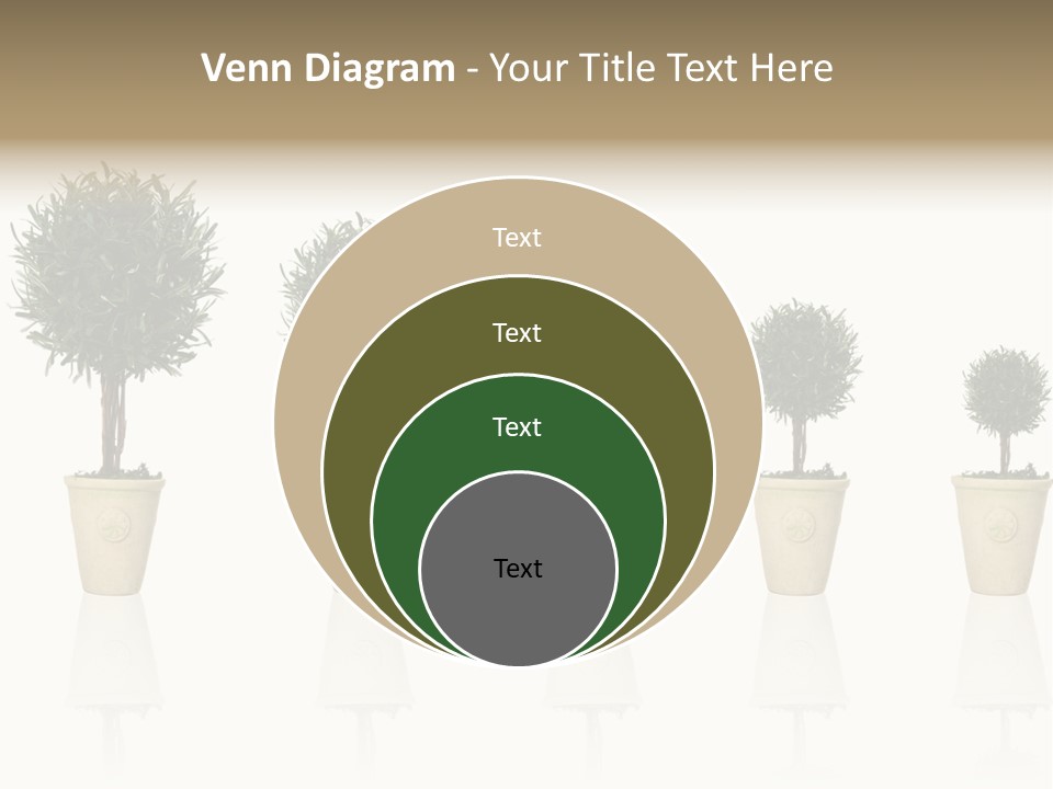 Maturation Success Advance PowerPoint Template