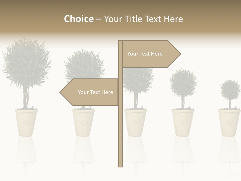Maturation Success Advance PowerPoint Template