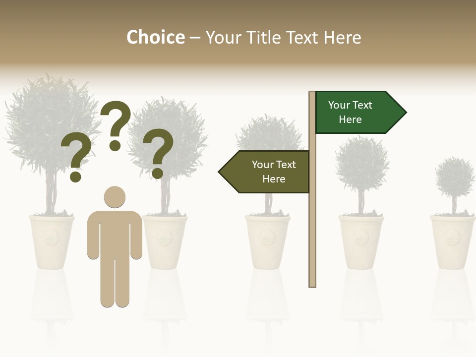 Maturation Success Advance PowerPoint Template