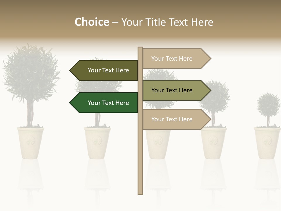 Maturation Success Advance PowerPoint Template